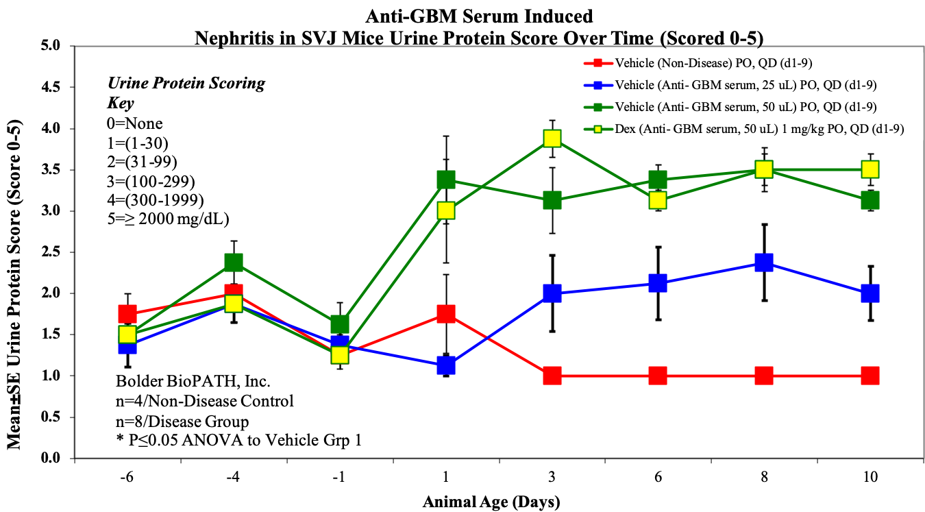 Antigbm-sample-1