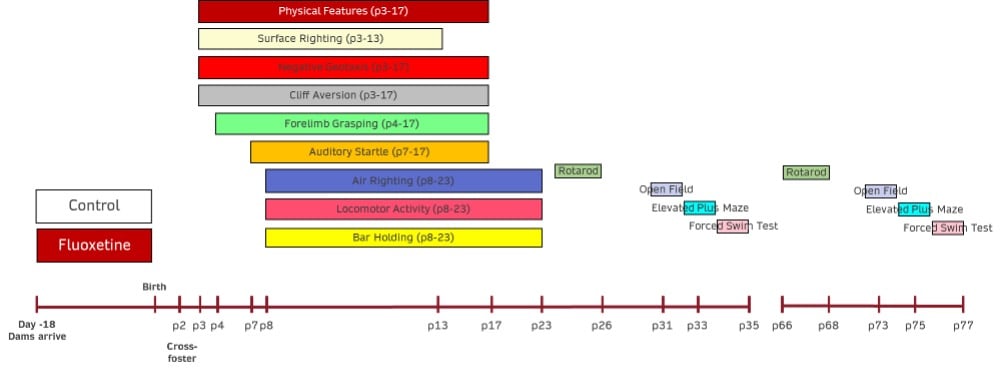 CNS11