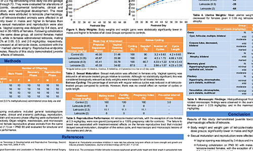 Juvenile Animal Study in Rats With the Aromatase Inhibitor Letrozole Administered for 9 Weeks including Recovery and Reproductive Phases