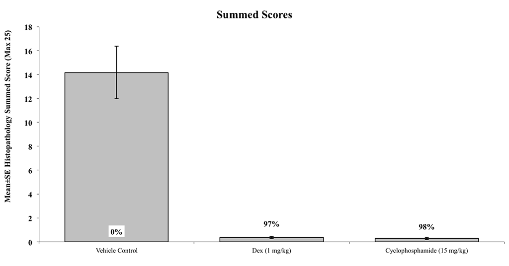 SLE10-Summed-Scores