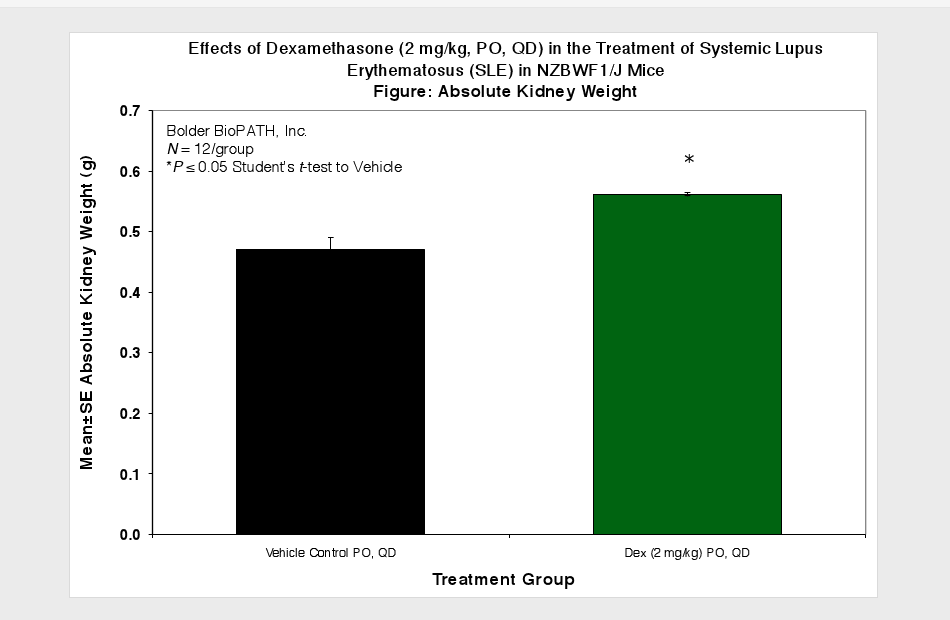 SLENZ3-nzb-kidney-wt