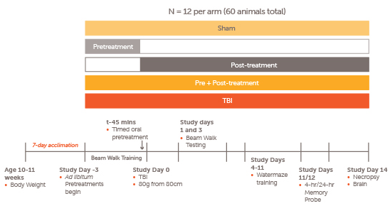 Traumatic_Brain_Injury_Study_Desgin_Weight_Drop_Model