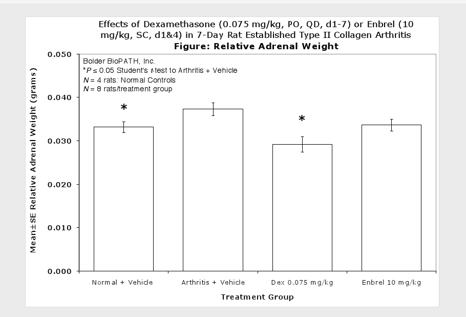 est-adrenal-wt