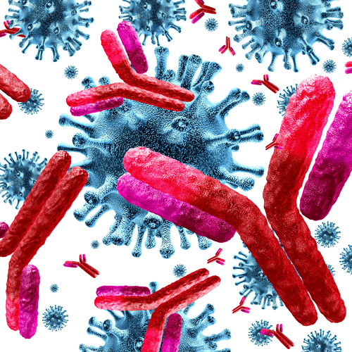 Antibodies attacking contagious virus cells and pathogens