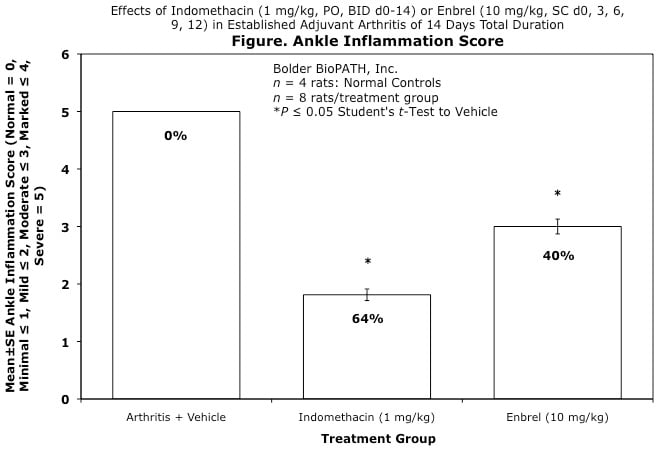 la_ankle-inflammation-1