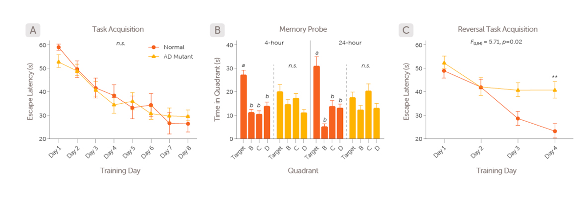 Alzheimers-webpage-Tg2576-mice-validation-data