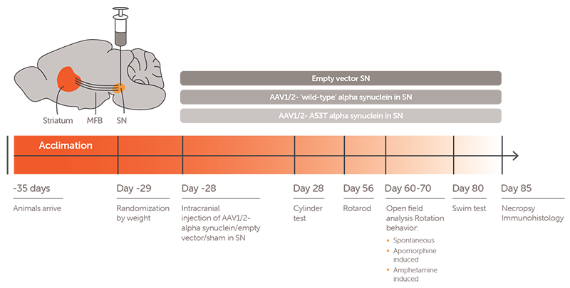 Discovery_Parkinsons page_A53T model