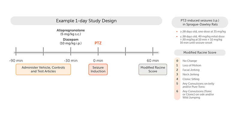 Study_Design_Acute_Seizure_Models