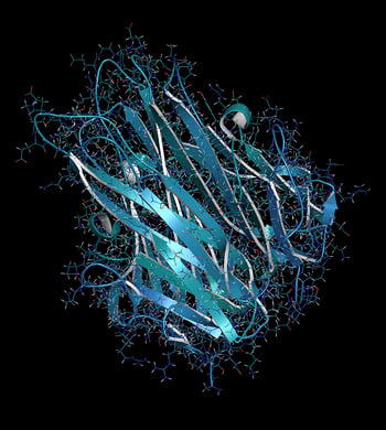 Tumor-necrosis-factor-alpha-TNF-cytokine-protein-molecule-3D-rendering