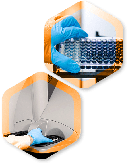 Bioanalysis for Large Molecule