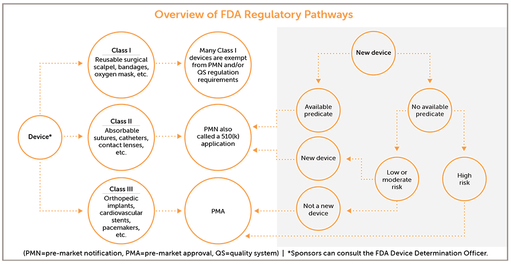 fda regulatory pathways