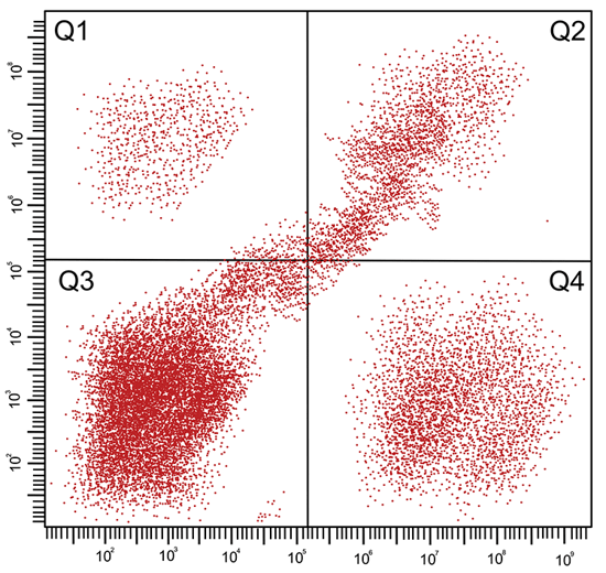 flow-cytometry-results-of-apoptosis-cell-separation