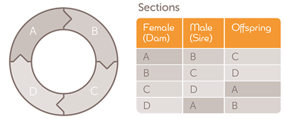 genetic-assurance-program-3