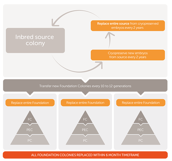 genetic-assurance-program-4