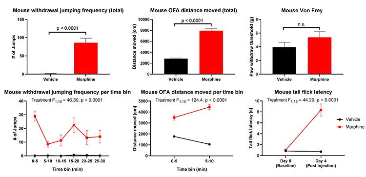 opiate-withdrawal-addiction-models-in-rats-and-mice