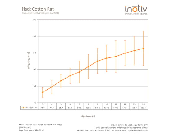 cotton-rat-gc-sept2015