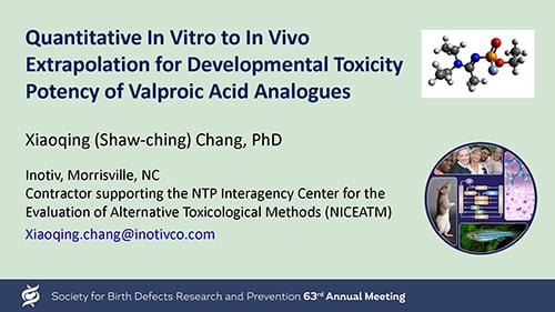 Quantitative In Vitro to In Vivo Extrapolation for Developmental Toxicity Potency of Valproic Acid Analogues