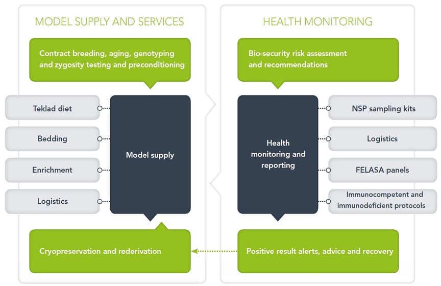 rms-services-lg