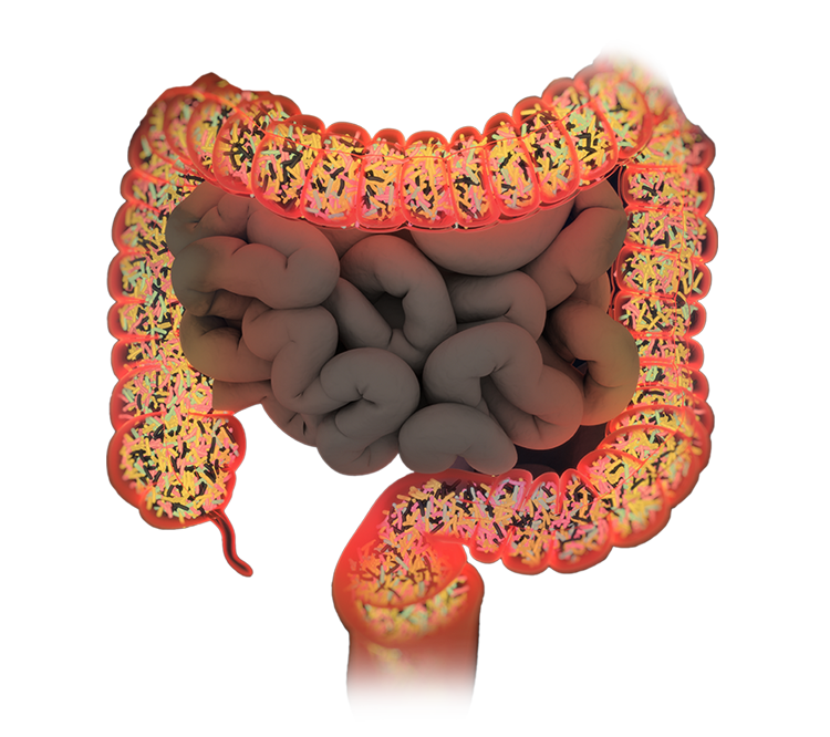 Gastrointestinal Liver Disease