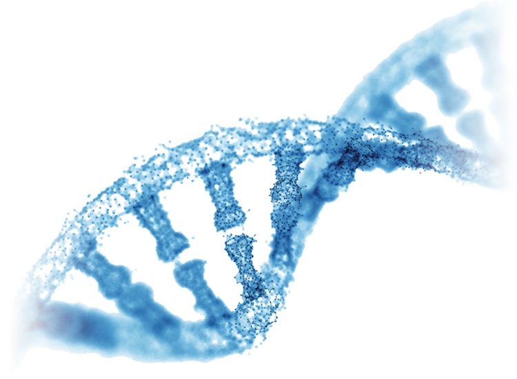 Genetic Toxicology