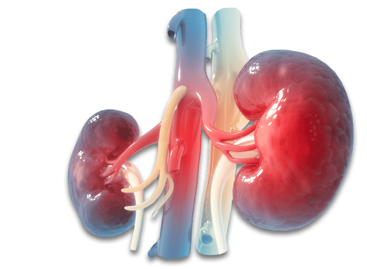 Metabolic and Diabetic Disease