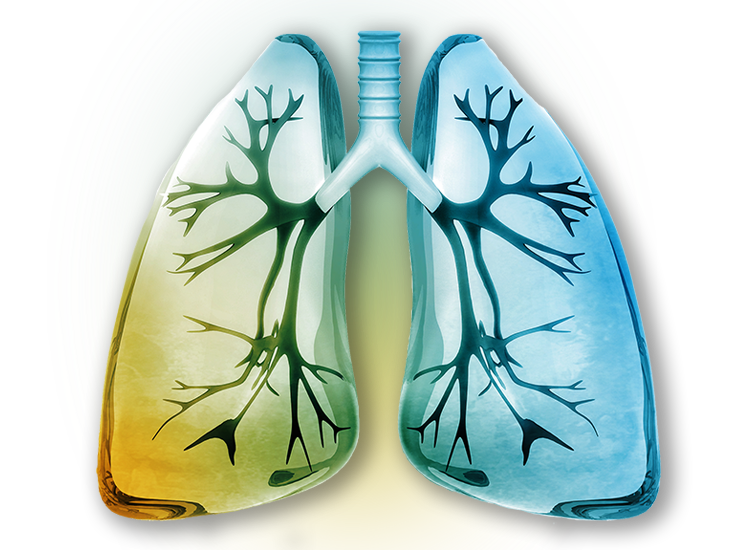 Pulmonary Research