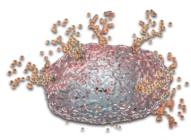 Inflammation and Immunology