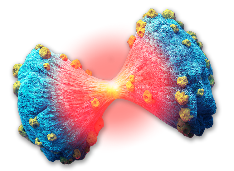 Diabetic and Metabolic research solutions