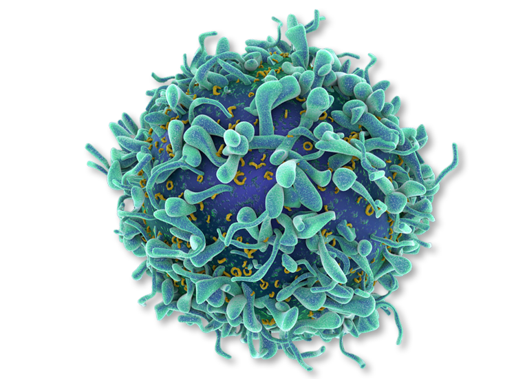 Quantitative protein analysis of drug targets