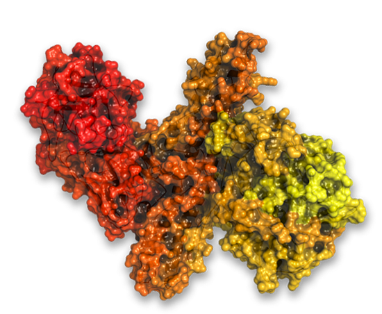 Discovery Bioanalysis and Biomarkers