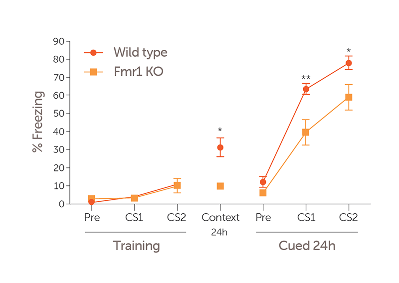 Psychiatric_Disorders_Fmr1_KO_mice_data