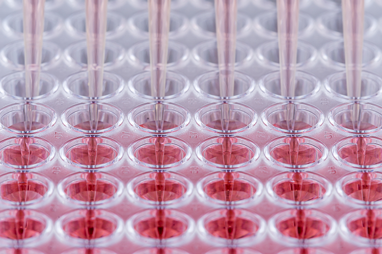 Other Genetic Toxicology Assays